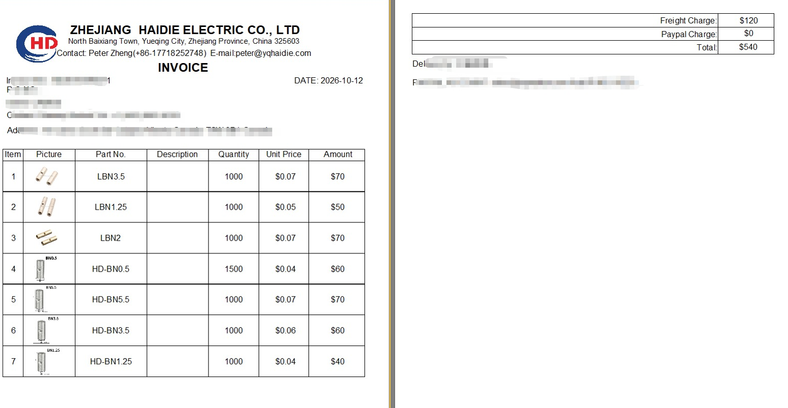 Payment link HD2610090071