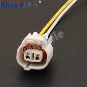 Wire Harness HD023-2-21CX 18AWG 20CM