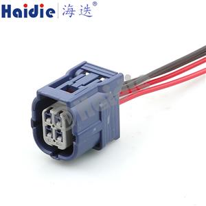 wire harness 6189-7041housing /6918-2810clip 20AWG 20CM