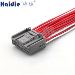 wire harness  1612906-1/90980-12200 22AWG 20CM
