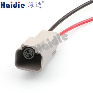 wire harness DT04-2P/W2P 18AWG 20CM