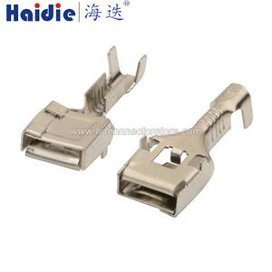 Terminals 7116–6041/8100-2493