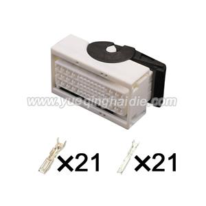 Auto wiring cable connector include terminals pins PP0496401/1743098-1