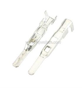 Terminals 211CL3S2160 DJ616A-2.8*0.8BTS