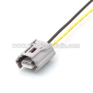 Wire Harness HD023Y-0.6-21X 22AWG 20CM