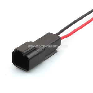 Wire Harness DT04-2P-E004 18awg 20cm