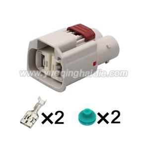 2 Pin connector with terminal 7287-1992-40