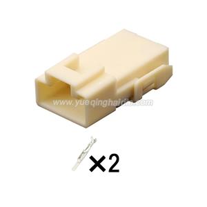 2 Pin connector with terminal 12015271