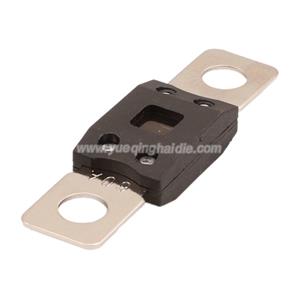 fuse 0298060