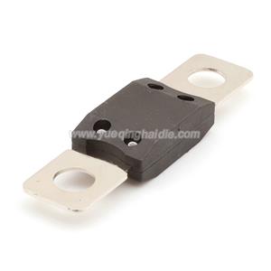 fuse 0298080