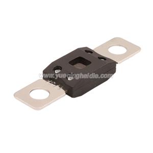 fuse 0298175