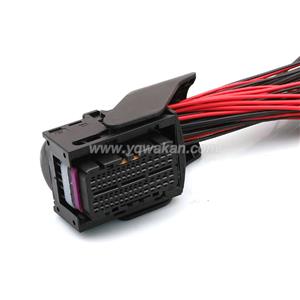 Wire Harness HD601-0.6-1.5-21 18/22awg 20cm