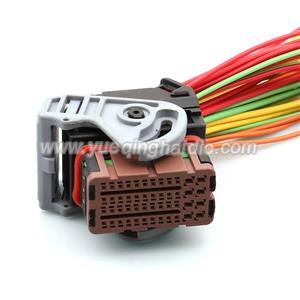 Wire Harness 98650-3003/98655-1001 18/20awg 20cm