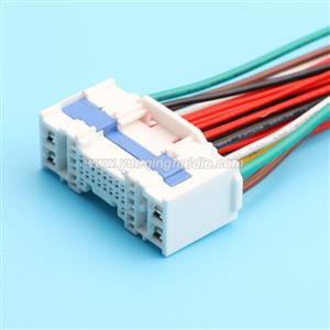 Wire Harness 6098-9831 20awg 20cm