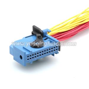 Wire Harness 185879-2 22awg 20cm