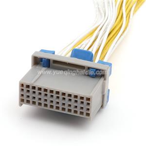 Wire Harness 12110088 22awg 20cm