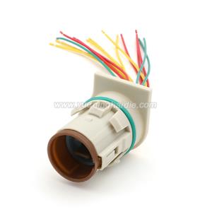 Wire Harness HD3141-1.2-11 20AWG 20CM